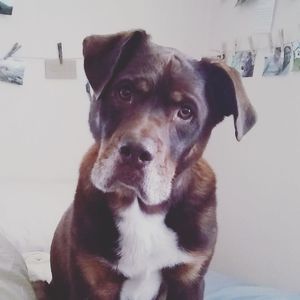 Meet your Posher, Elizabeth